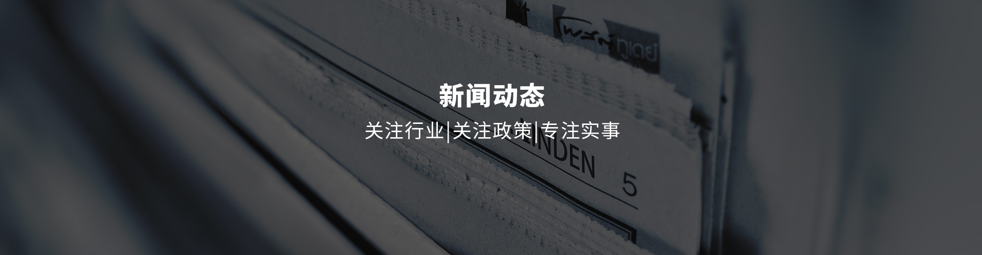 新聞動態(tài)